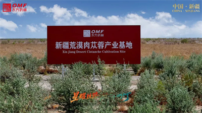 ����ҩ����Ļ�ػ��߽�����ֲ������ ��ͱ߽���������ͼ