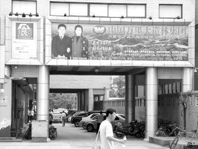 万里大造林案公诉罪名确定为非法经营罪