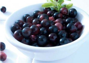 Ӫ��ѧ�ң�6�������Ŷ�ʳ��