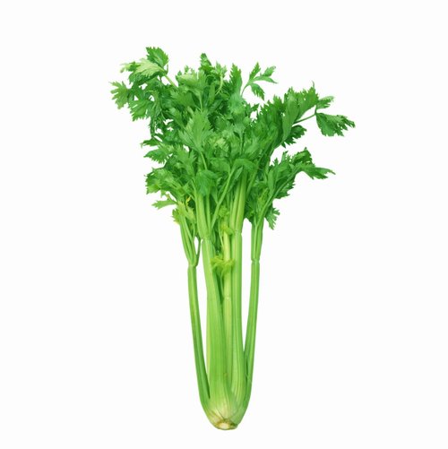 Ӫ��ѧ�ң�6�������Ŷ�ʳ��